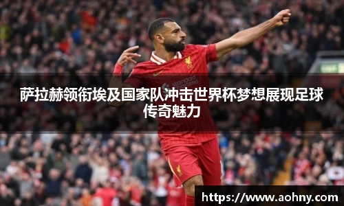 南宫NG28